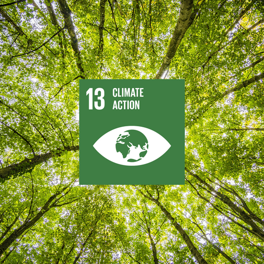 United Nations Sustainable Development Goals, UN SDG, 13 Climate Action
