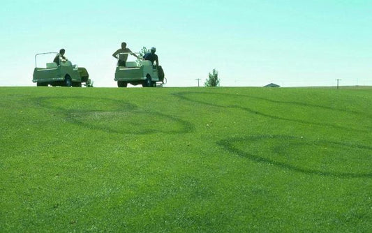 Pathogen Profile: Fairy Ring in Florida Turfgrass