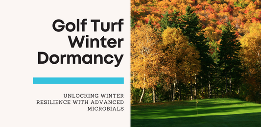 Golf Turf Winter Dormancy: Unlocking Winter Resilience with Advanced Microbials