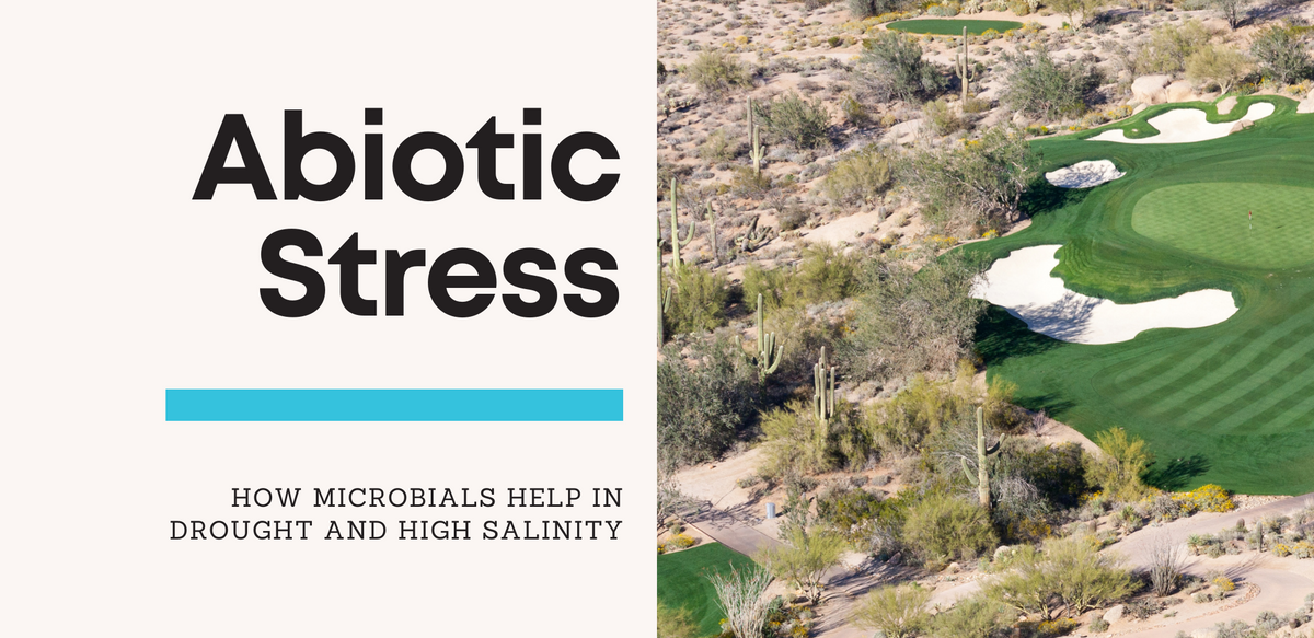 Image showcasing Enhancing Turfgrass Resilience: Microbials for Drought & Salinity ...