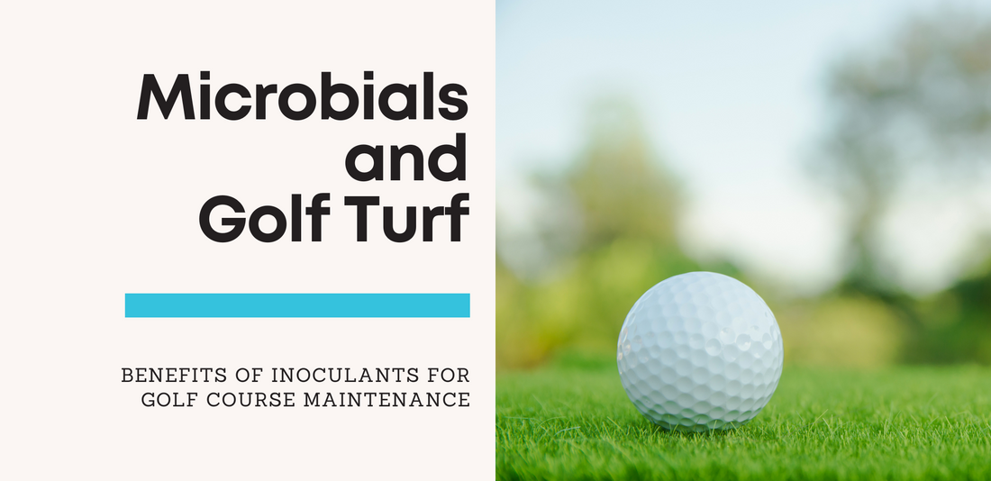 Exploring the Benefits of Microbial Inoculants for Golf Course Maintenance