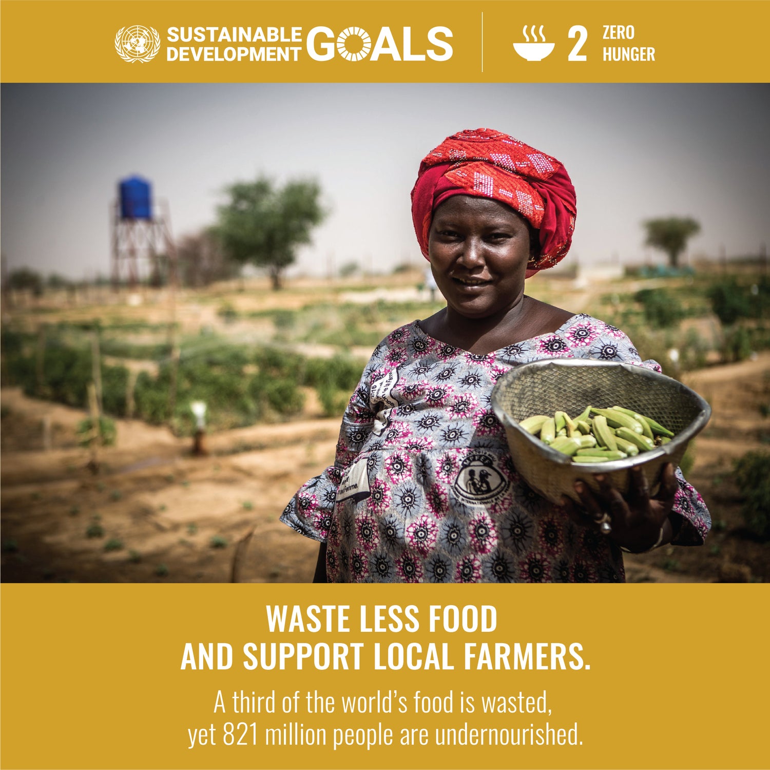 UN Sustainable Development Goal #2 Zero Hunger